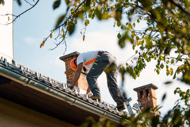 Best Metal Roofing Contractor  in Osawatomie, KS