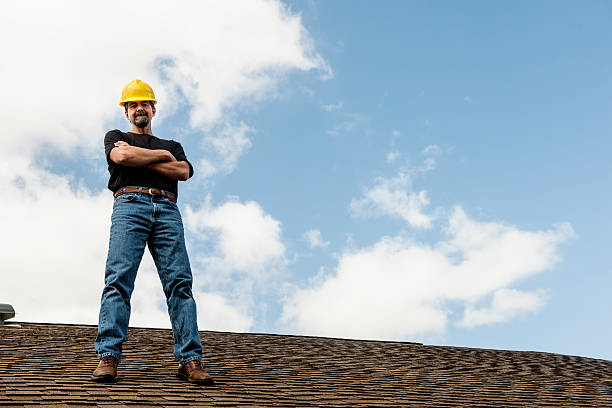 Best Roof Gutter Cleaning  in Osawatomie, KS