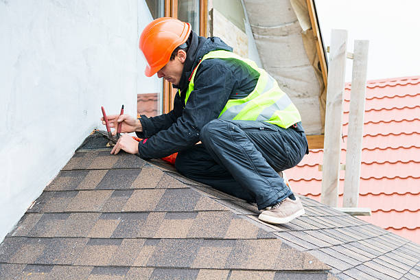 Best Sealant for Roof  in Osawatomie, KS